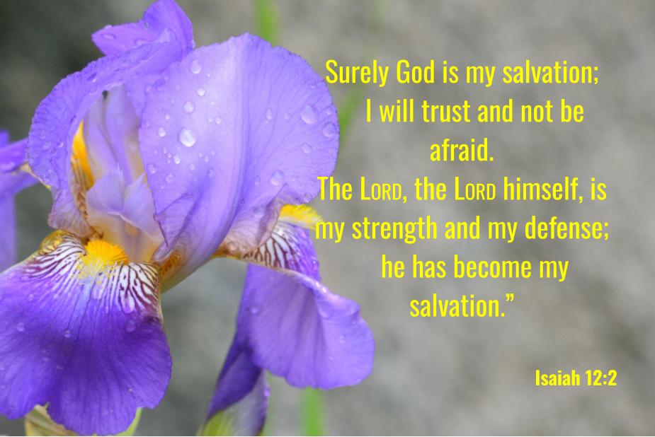 Isaiah 12:2