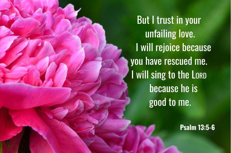 Psalm 13:5-6
