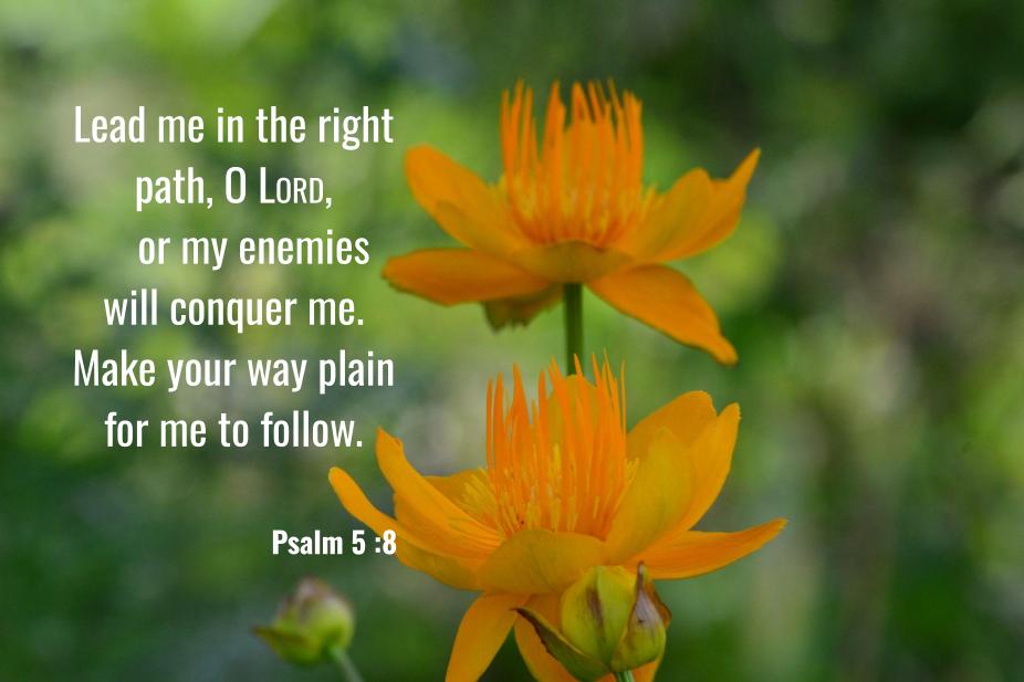 Psalm 5:8
