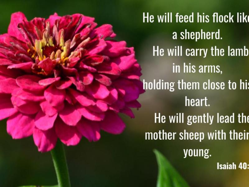 Isaiah 40:11