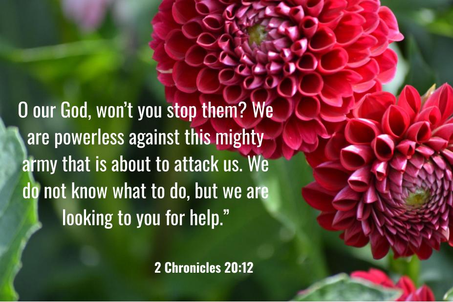 2 Chronicles 20:12
