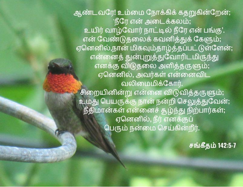 சங்கீதம் 142