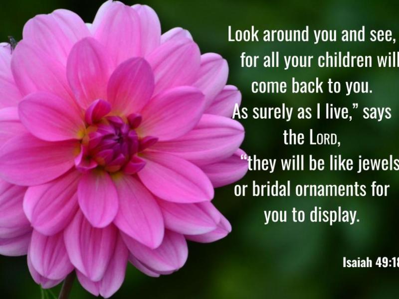 Isaiah 49:18