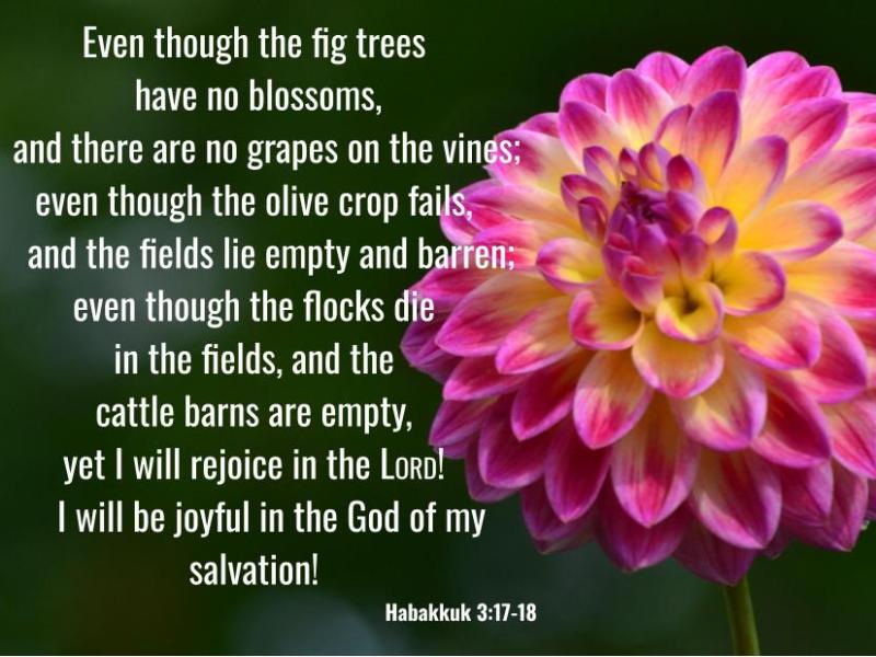 Habakkuk 3:17-18