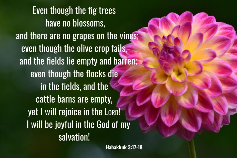 Habakkuk 3:17-18