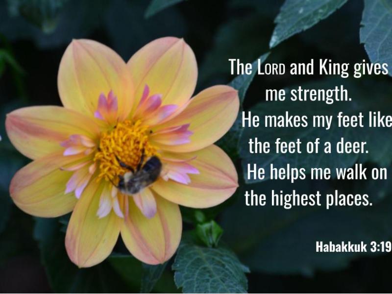 Habakkuk 3:19