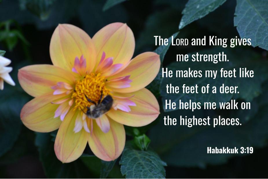 Habakkuk 3:19