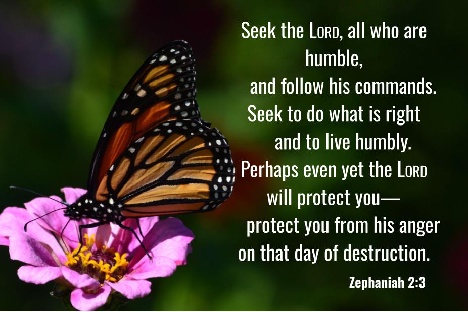 Zephaniah 2:3