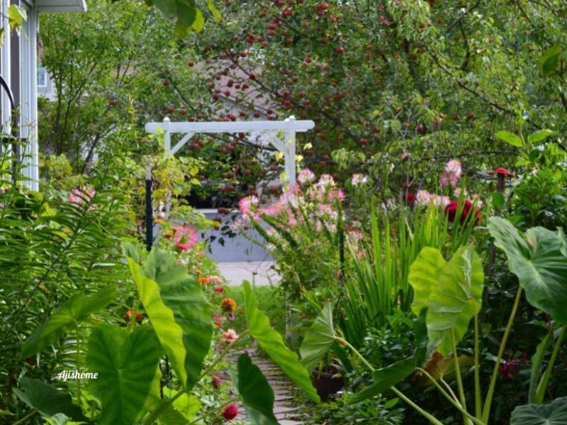 Best Spots to Attract&nbsp;Hummingbirds