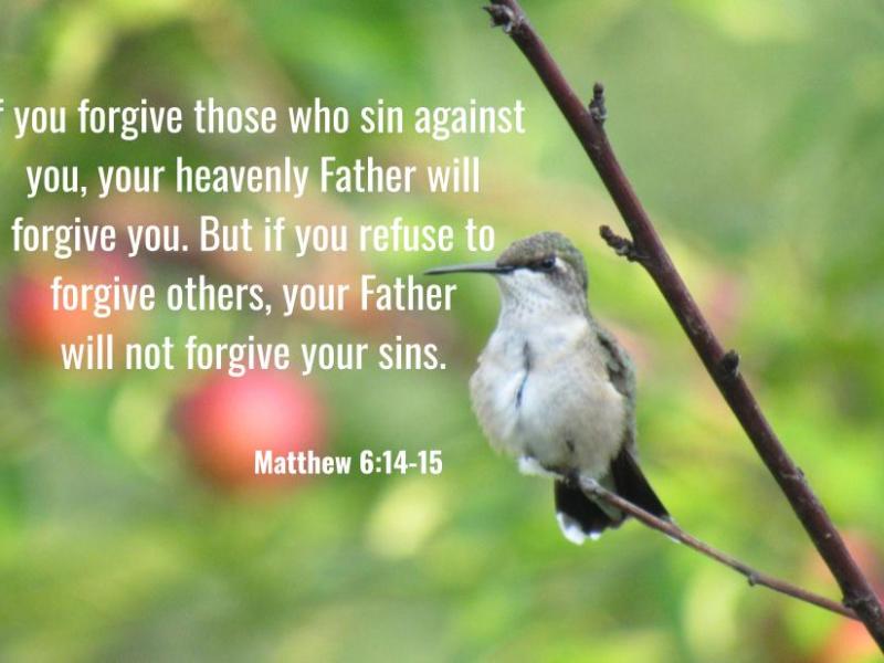 Matthew 6:14-15