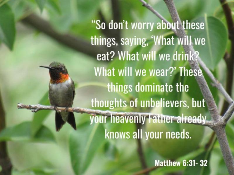 Matthew 6:31-32