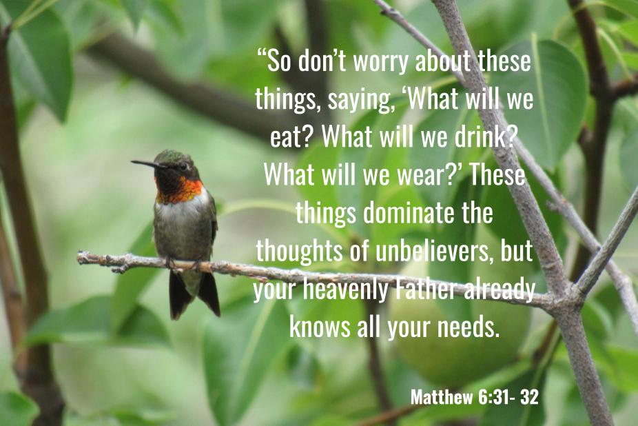 Matthew 6:31-32