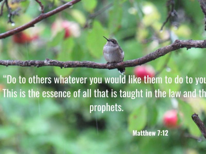 Matthew 7:12