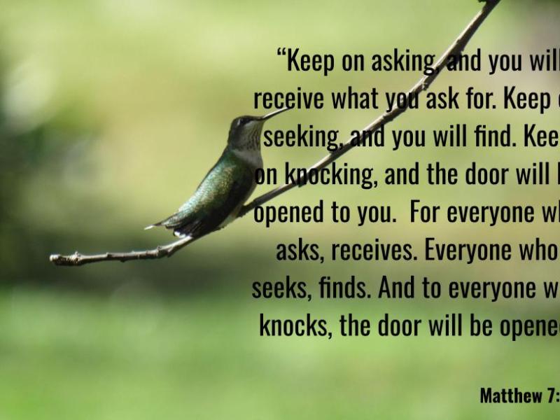 Matthew 7:7-8