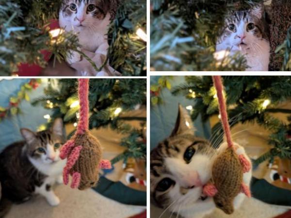 Knitting Fun: A Handmade Toy for Our Cat&nbsp;Leo