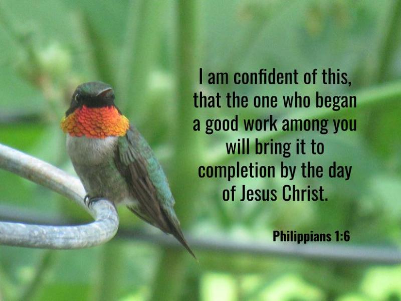 Philippians 1:6