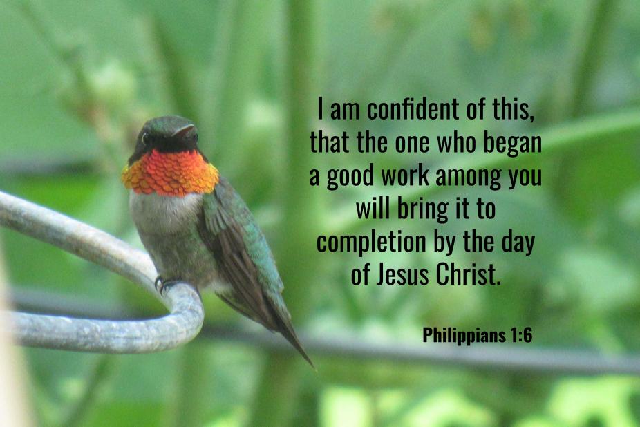 Philippians 1:6