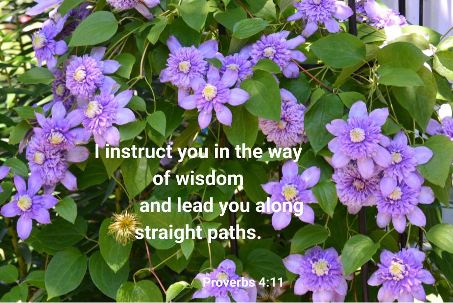 Proverbs 4:11