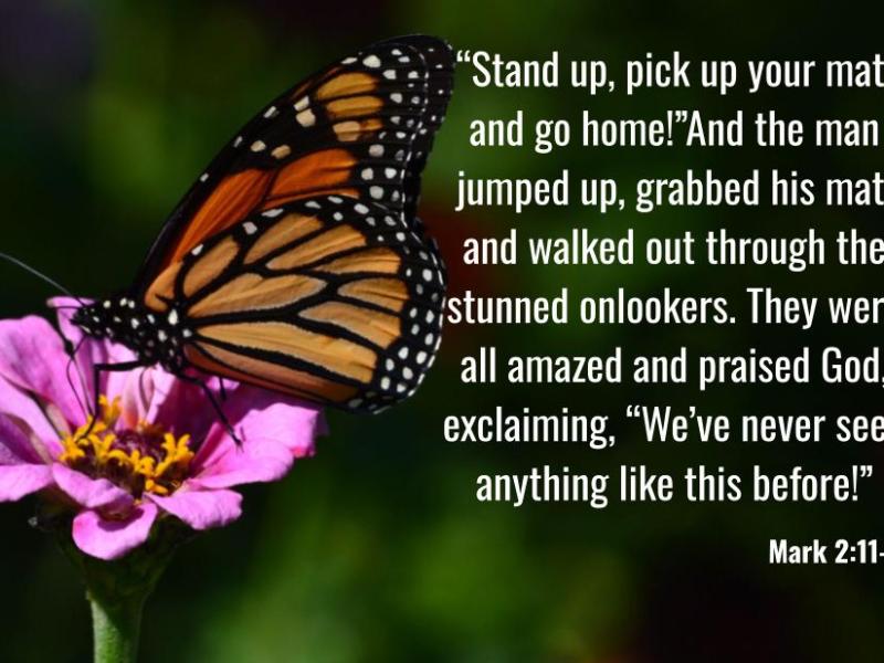 Mark 2:11-12