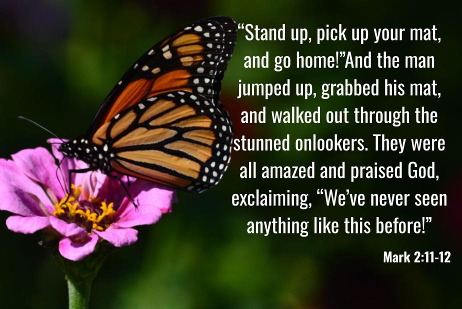 Mark 2:11-12