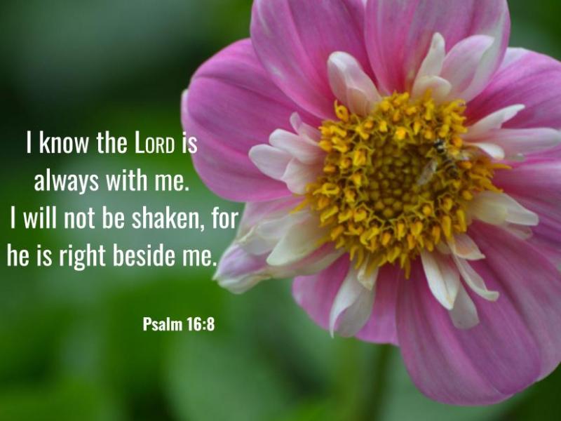 Psalm 16:8