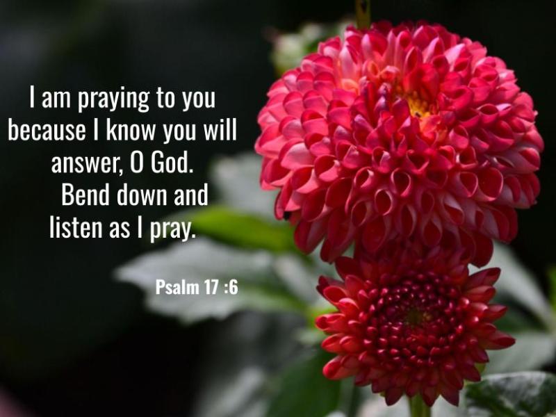 Psalm 17:6