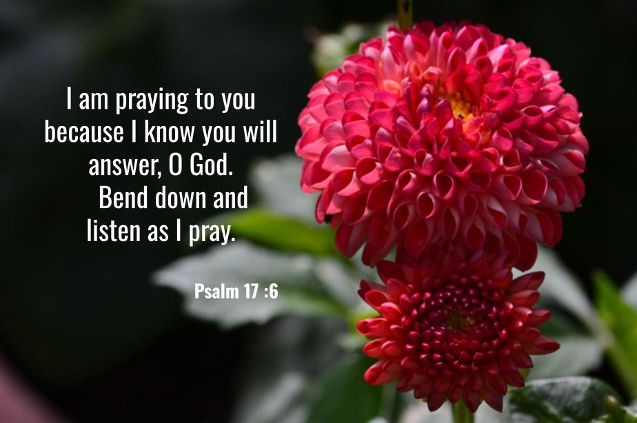 Psalm 17:6