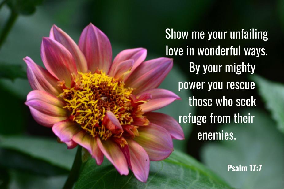Psalm17:7