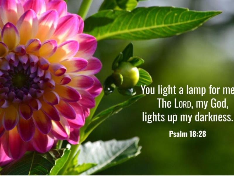 Psalm 18:28