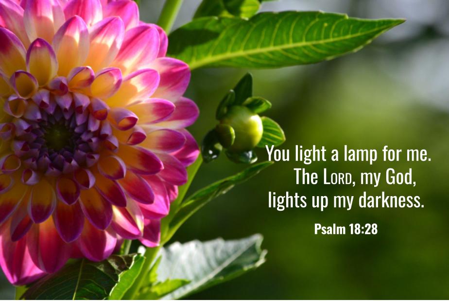 Psalm 18:28