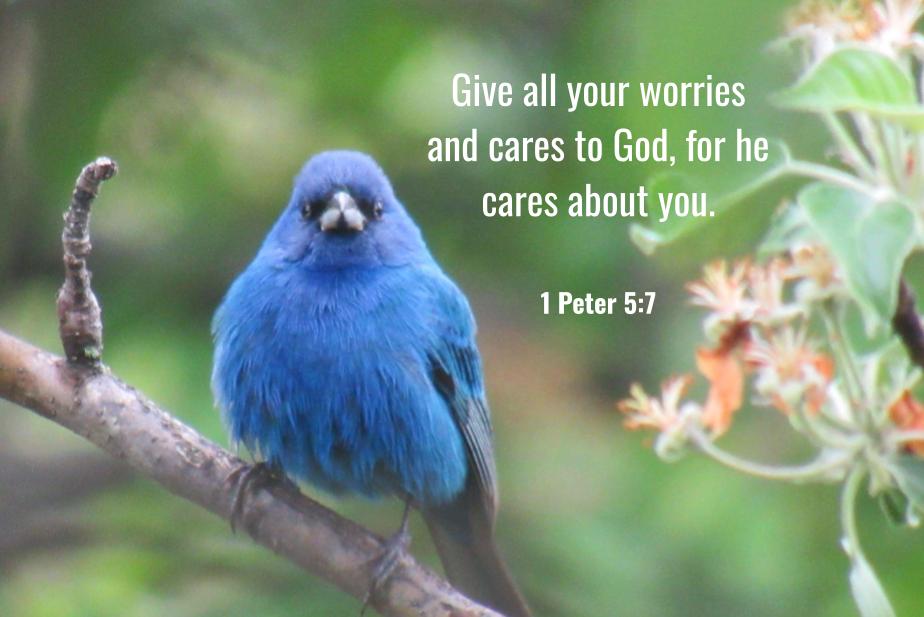 1Peter 5:7