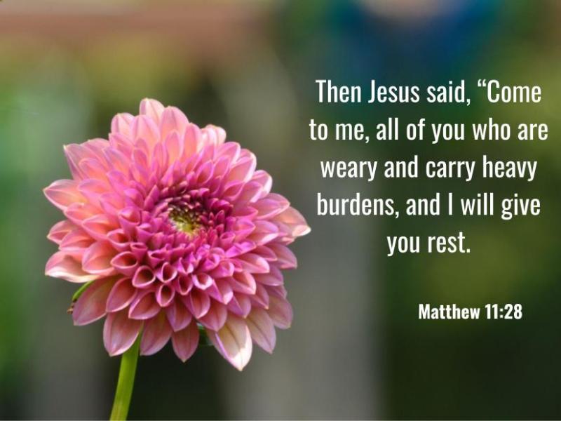 Matthew 9:22