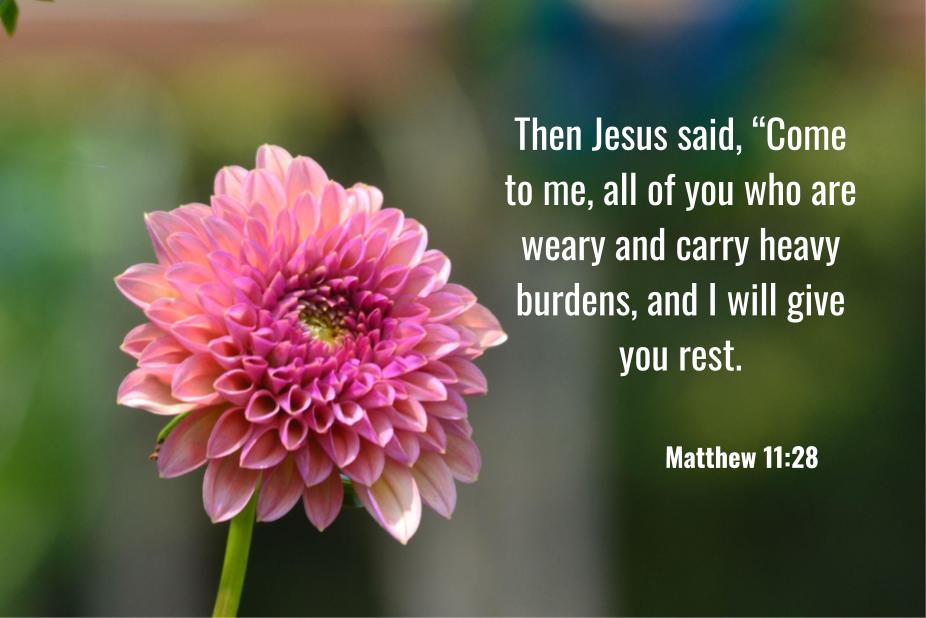 Matthew 9:22