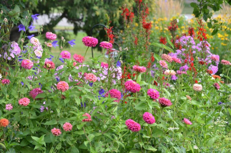Garden Snapshot -32