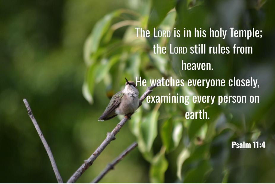 Psalm 11:4
