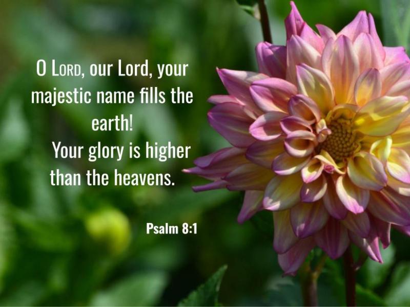 Psalm 8:1