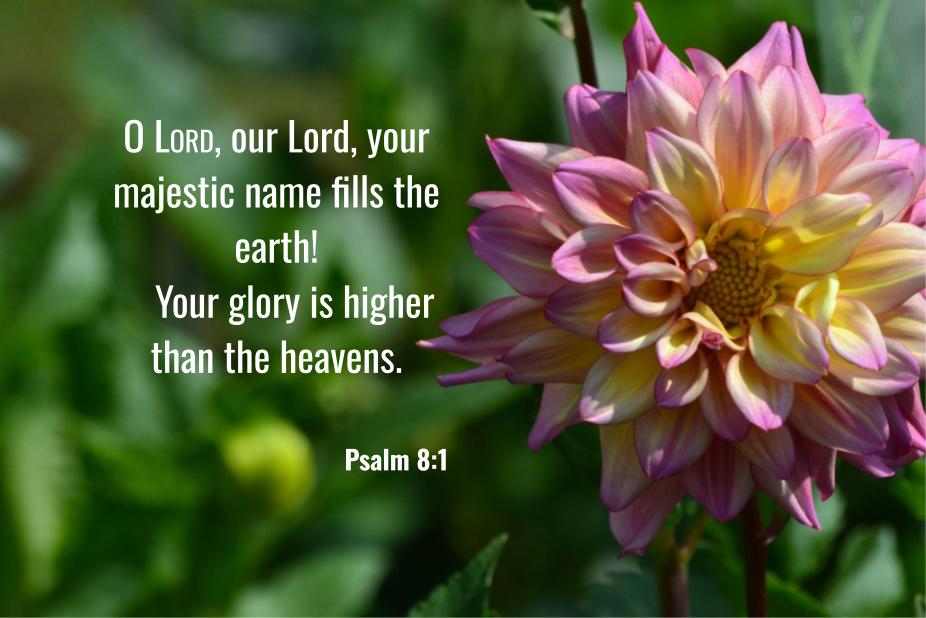 Psalm 8:1