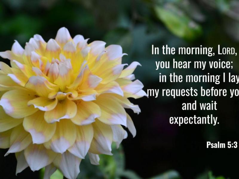 Psalm 5:3