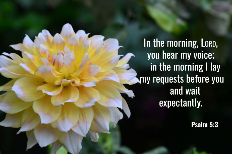 Psalm 5:3
