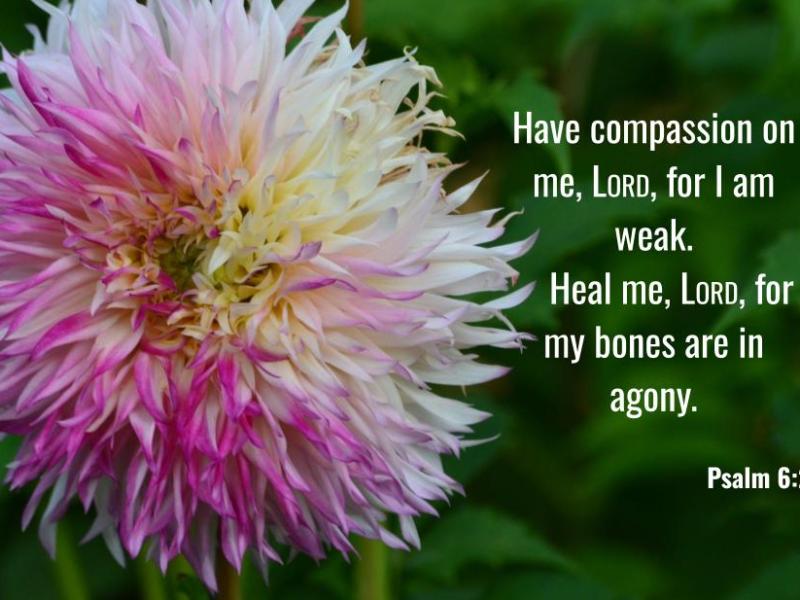 Psalm 6:2