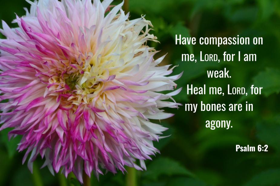 Psalm 6:2
