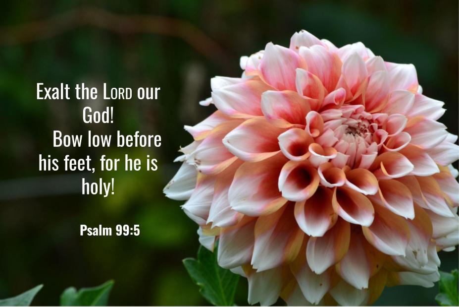Psalm 99:5