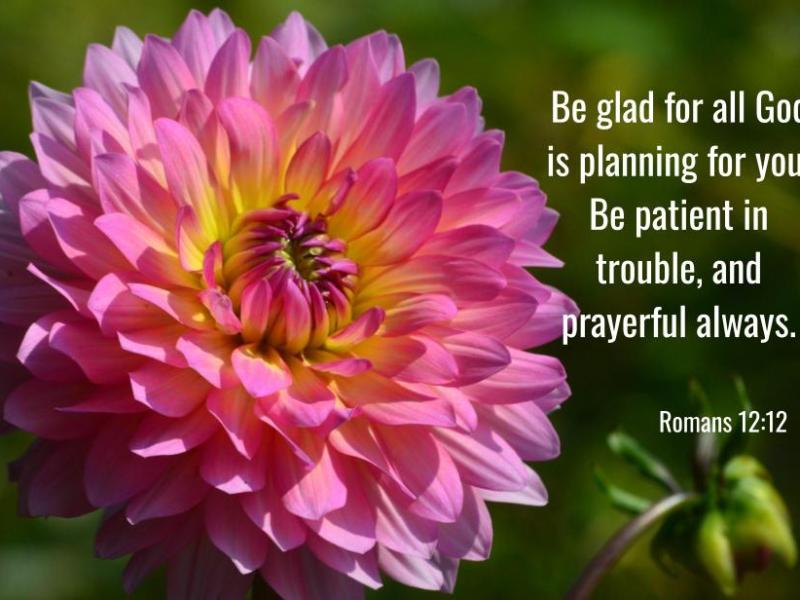 Romans 12:12
