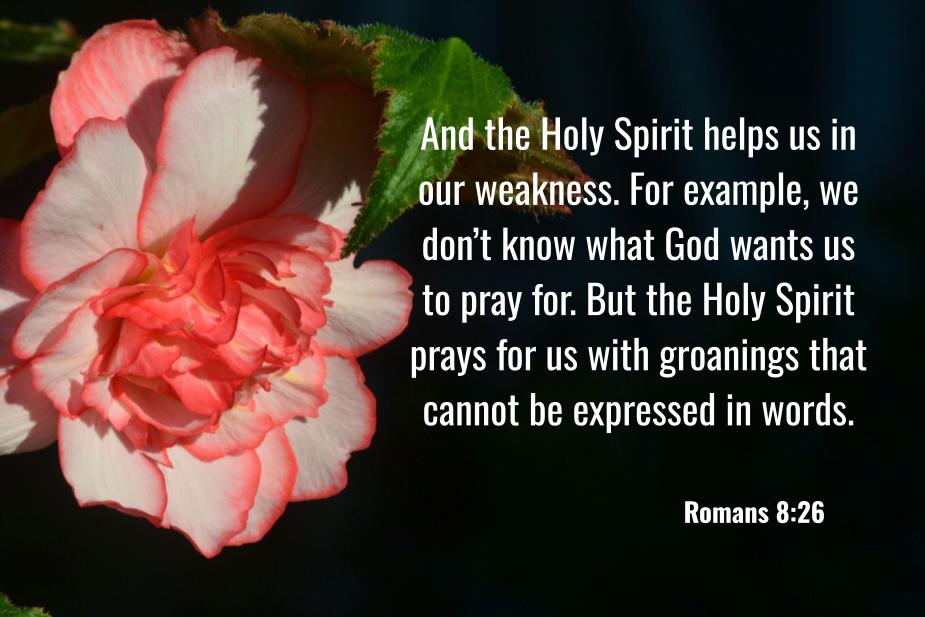 Romans 8:26